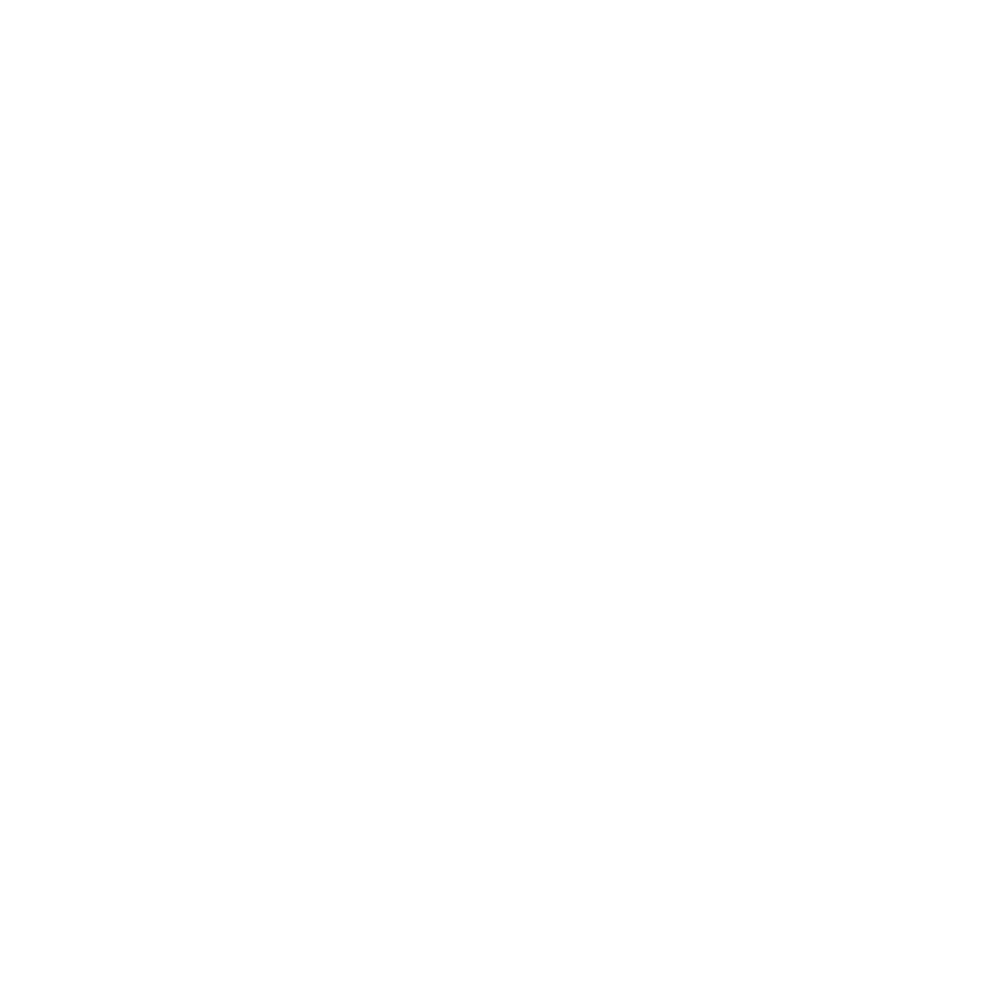 35 Culture Logo